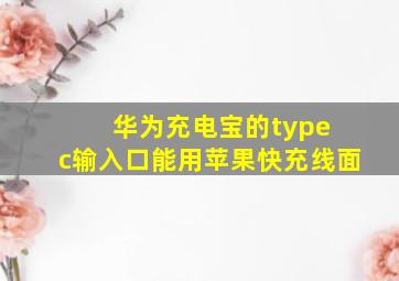 华为充电宝的type c输入口能用苹果快充线面